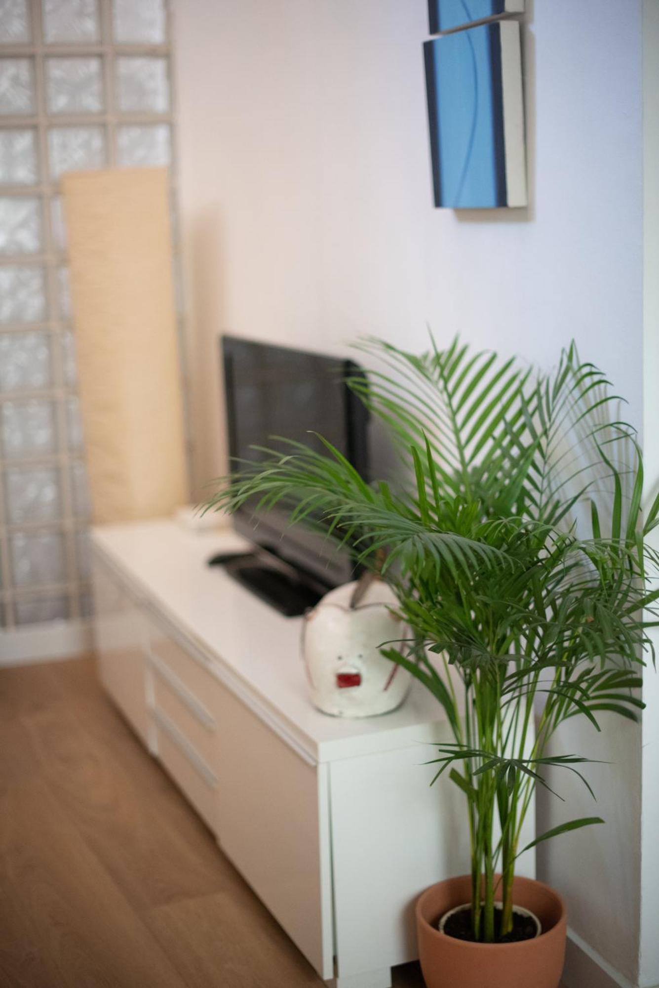 Cozy & Quiet Apartment In The Center Málaga Buitenkant foto